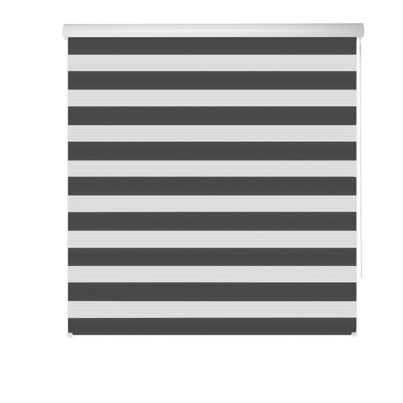 SUNFLEX - Cortina Roller Duo Ancho 100cm Alto 170cm Color Gris Oscuro