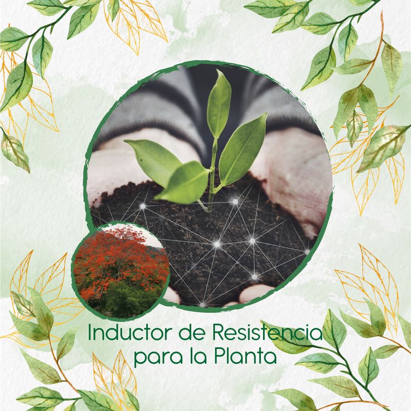 GENERICO - Fertilizante Inductor De Resistencia Para Árbol Búcaro - Cachimbo