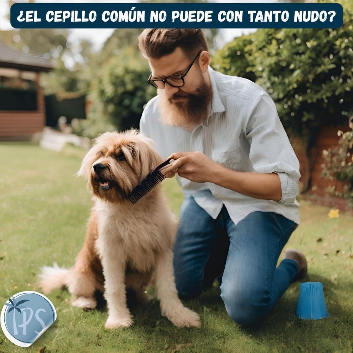 GENERICO - Cepillo Deslanador Quita Pelos Para Mascotas Perros y Gatos