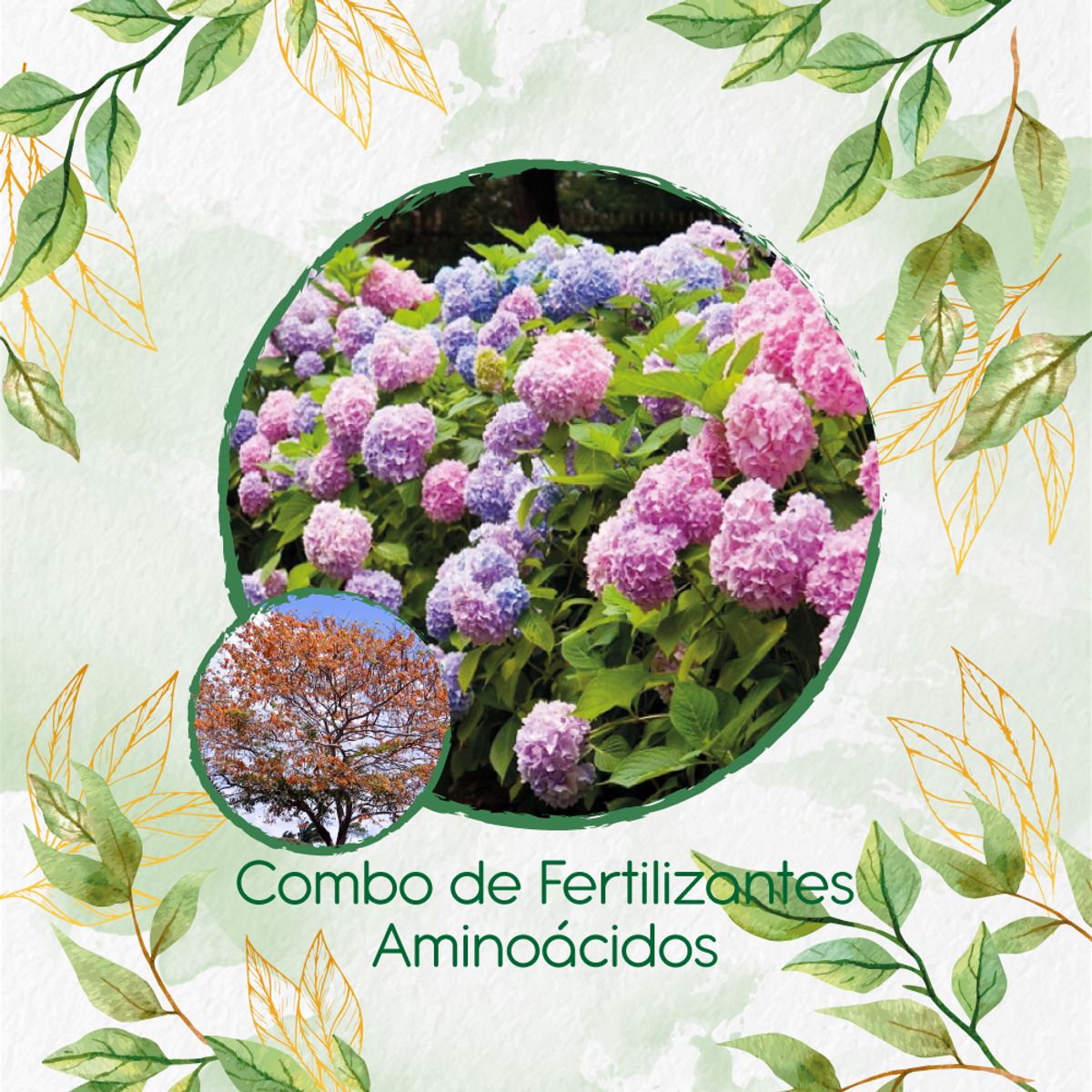 GENERICO - Combo De Fertilizantes Aminoácidos Para Árbol Cañafistol - Llanero