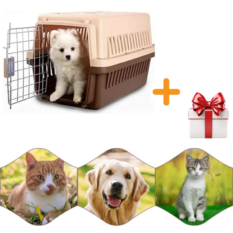 GENERICO - Oferta Guacal Para Perrogato Mascotas De 583737 + Regalo