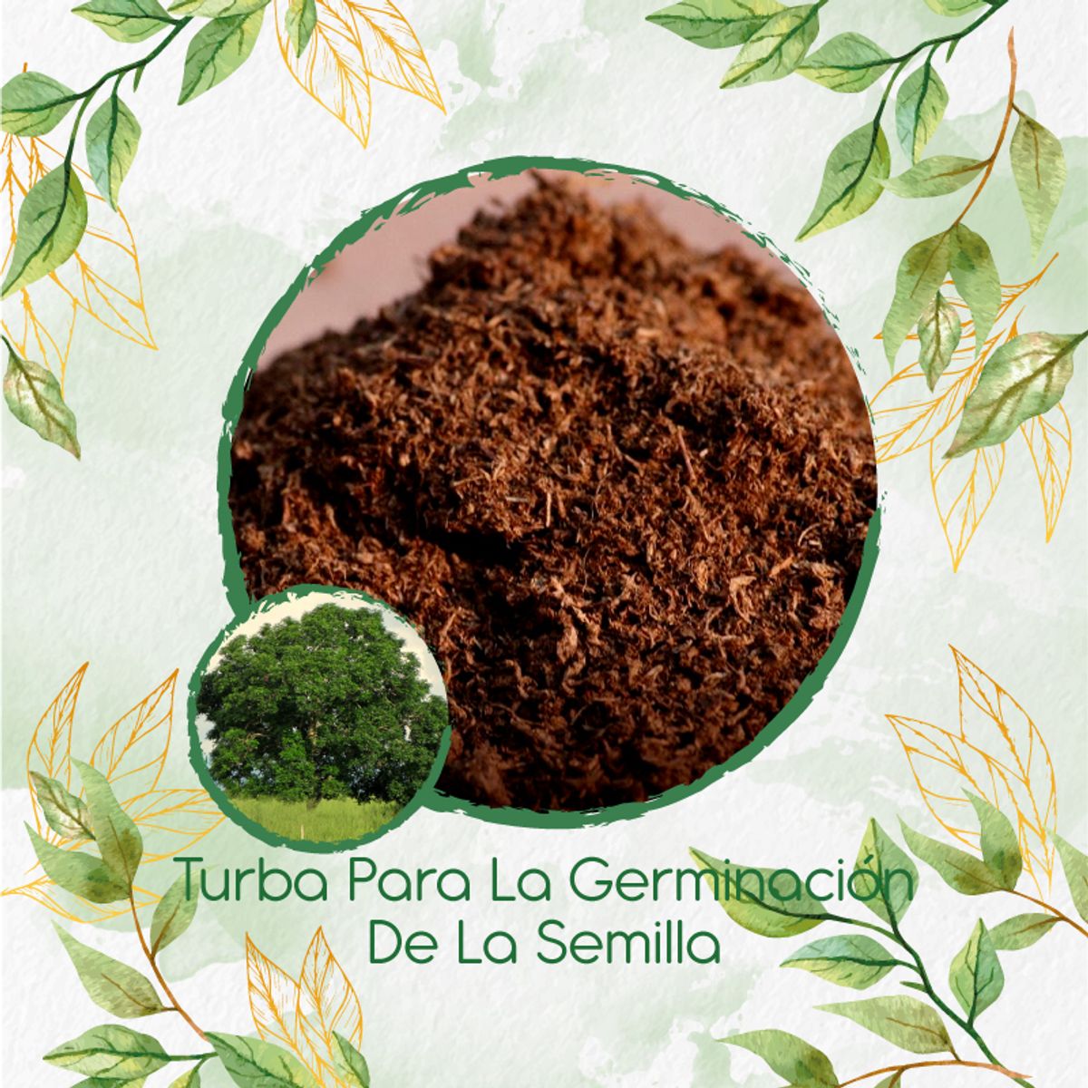 GENERICO - Turba Canadiense Especial Para Semillas De Árbol Caracolí