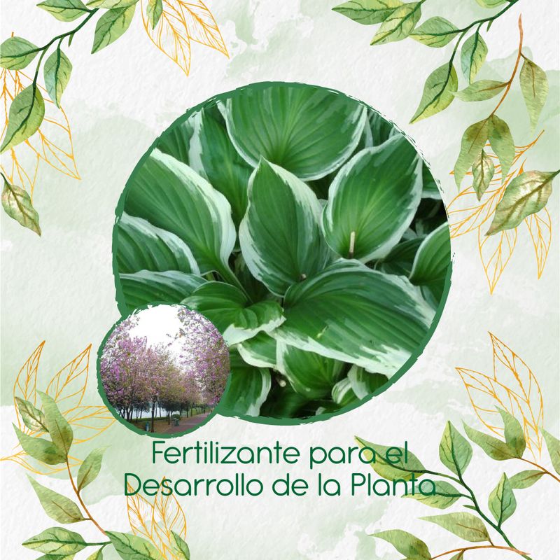 GENERICO - Fertilizante Para El Desarrollo De Árbol Casco De Vaca