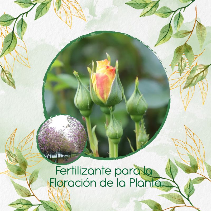 GENERICO - Fertilizante Para La Floración De Árbol Casco De Vaca