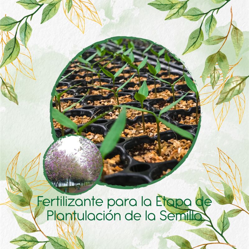 GENERICO - Fertilizante De Plantulación Para Árbol Casco De Vaca