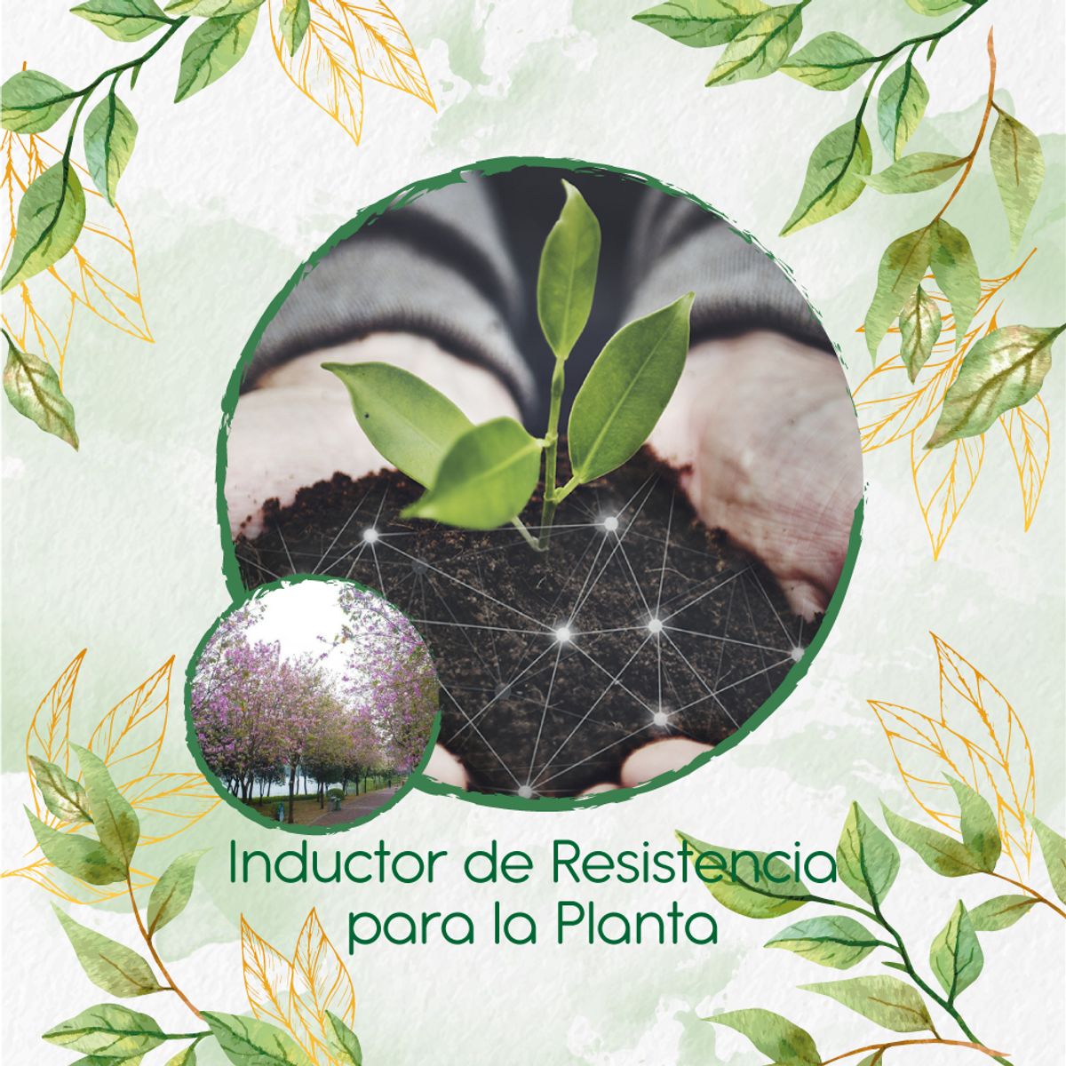 GENERICO - Fertilizante Inductor De Resistencia Para Árbol Casco De Vaca