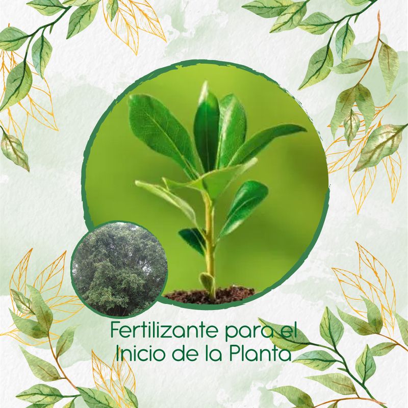 GENERICO - Fertilizante Para El Inicio De Árbol Caucho Sabanero