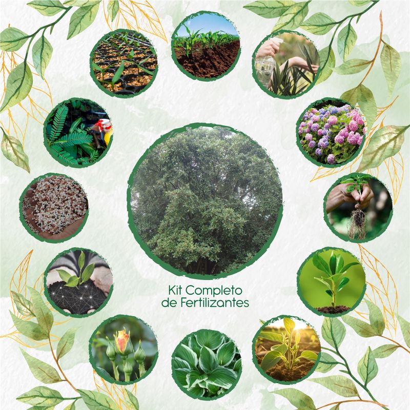 GENERICO - Kit Completo De Fertilizantes Para Árbol Caucho Sabanero