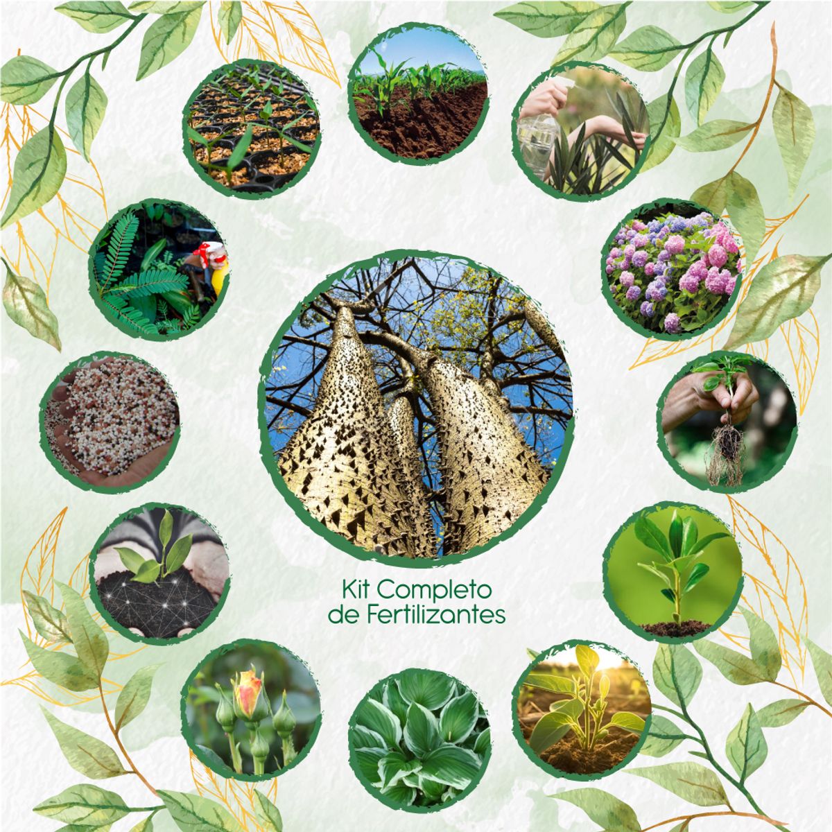 GENERICO - Kit Completo De Fertilizantes Para Árbol Ceiba Amarilla