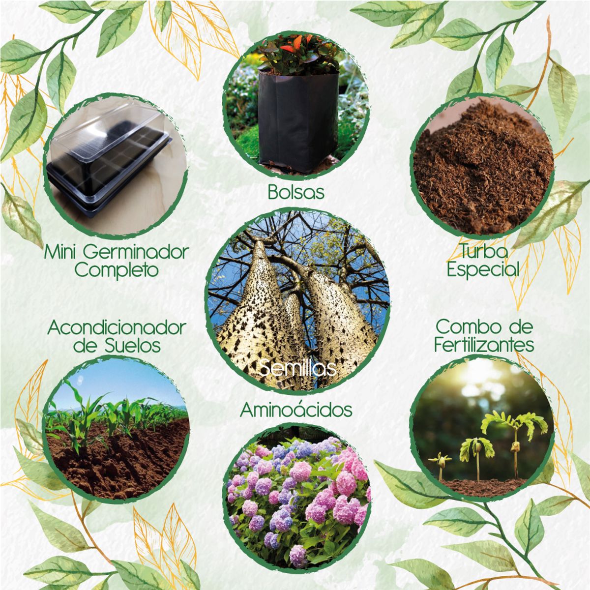 GENERICO - 3 Semillas De Árbol Ceiba Amarilla + Kit De Germinación Especial