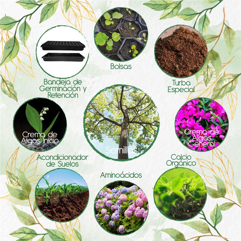 GENERICO - 80 Semillas De Árbol Ceiba Bonga + Kit Orgánico