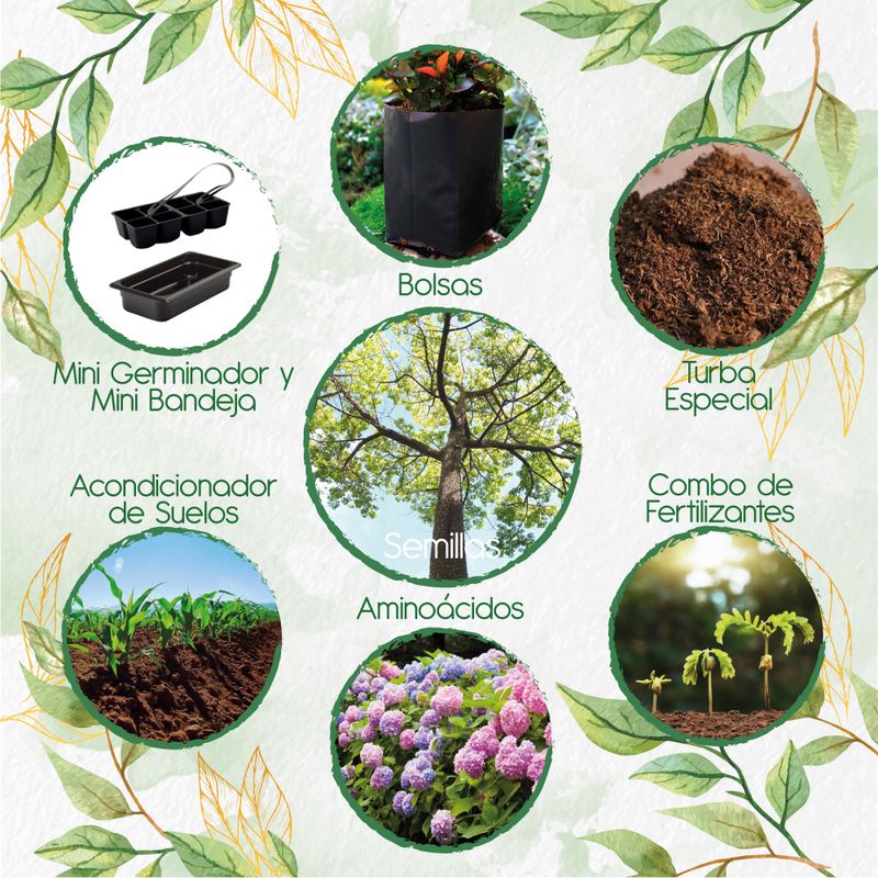 GENERICO - 40 Semillas Orgánicas De Árbol Ceiba Bonga + Kit De Germinación