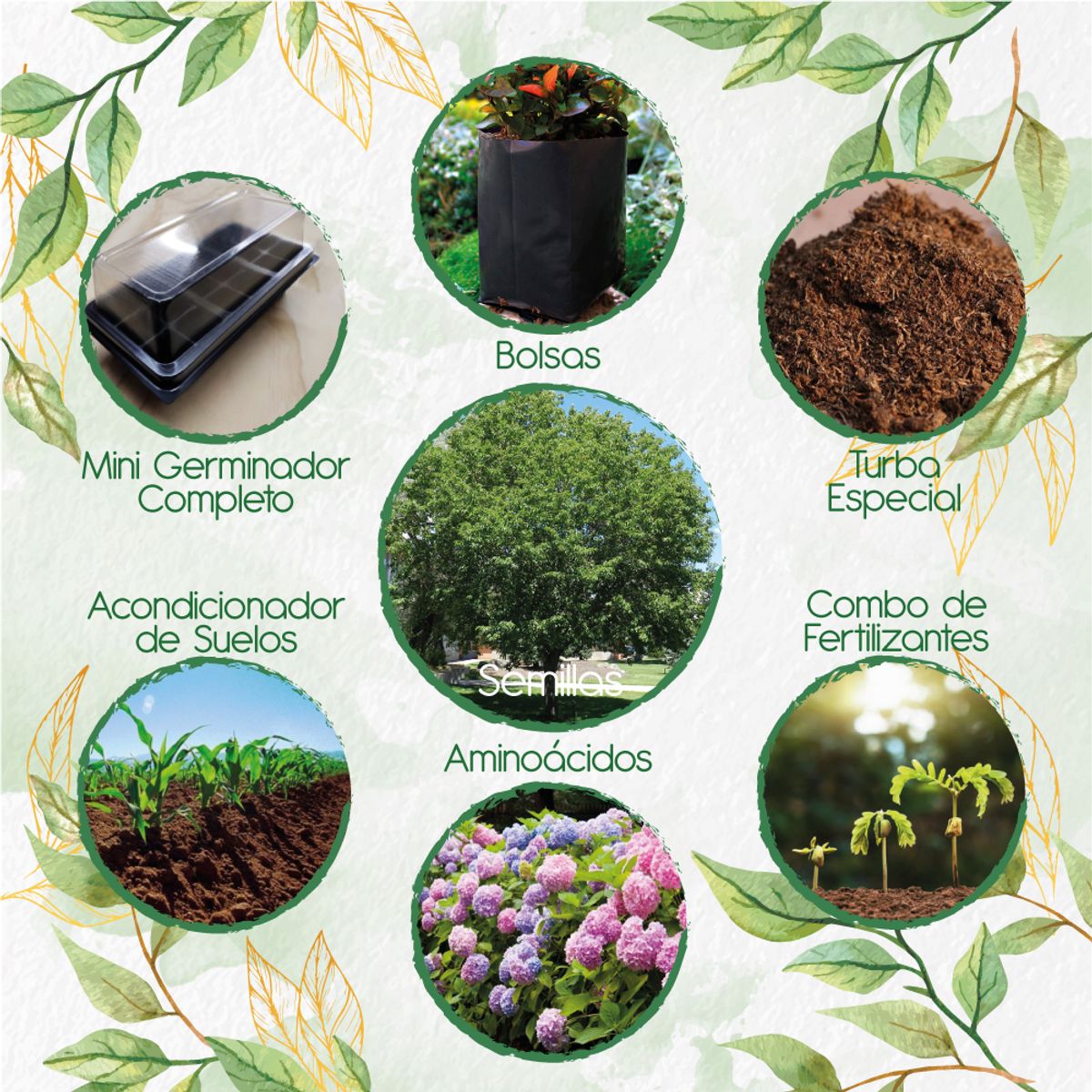 GENERICO - 60 Semillas De Árbol Cerezo Capulí + Kit De Germinación Especial