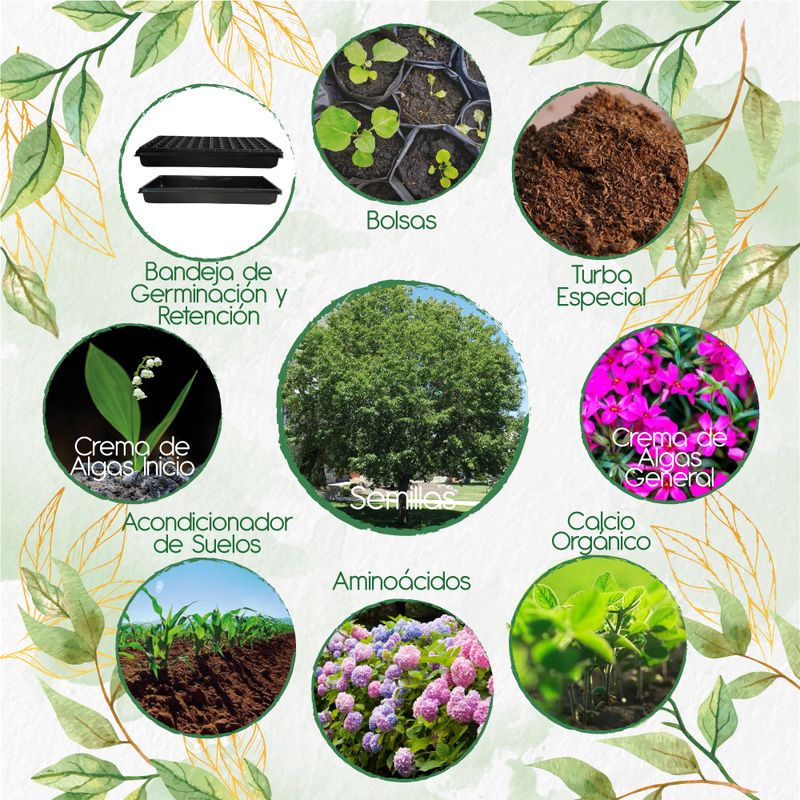 GENERICO - 60 Semillas De Árbol Cerezo Capulí + Kit Orgánico