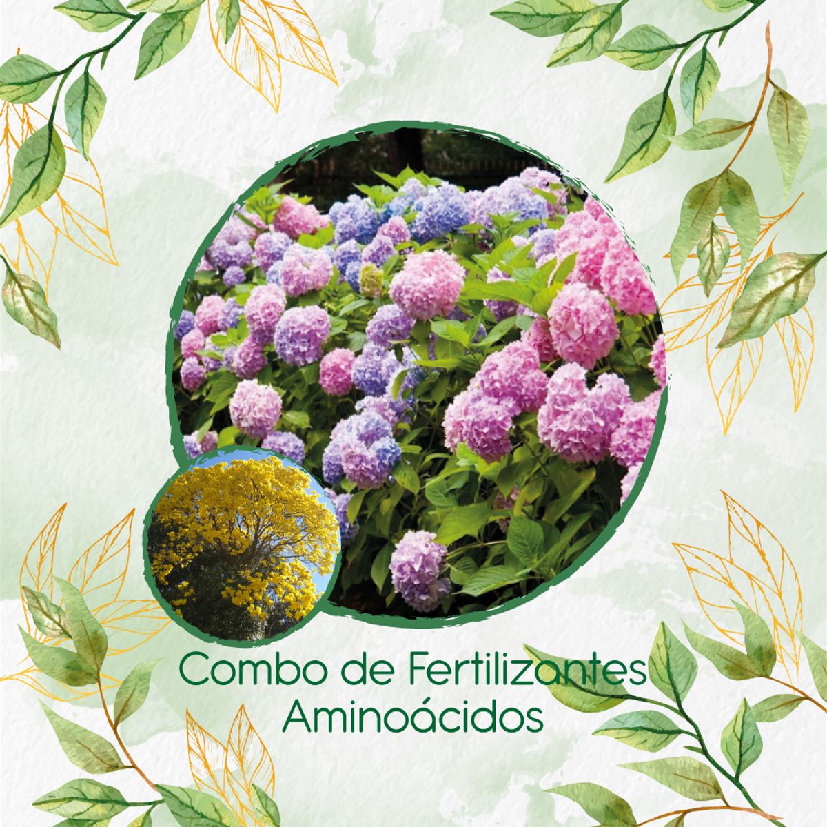 GENERICO - Combo De Fertilizantes Aminoácidos Para Árbol Chicala - Fresno