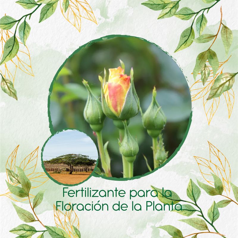 GENERICO - Fertilizante Para La Floración De Árbol Cuji Trupillo