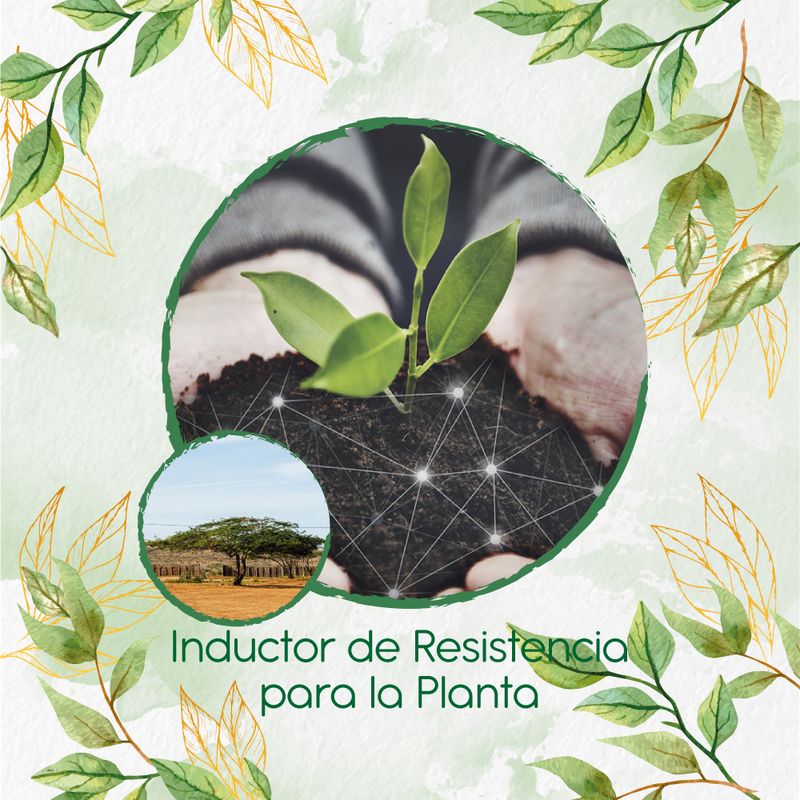 GENERICO - Fertilizante Inductor De Resistencia Para Árbol Cuji Trupillo