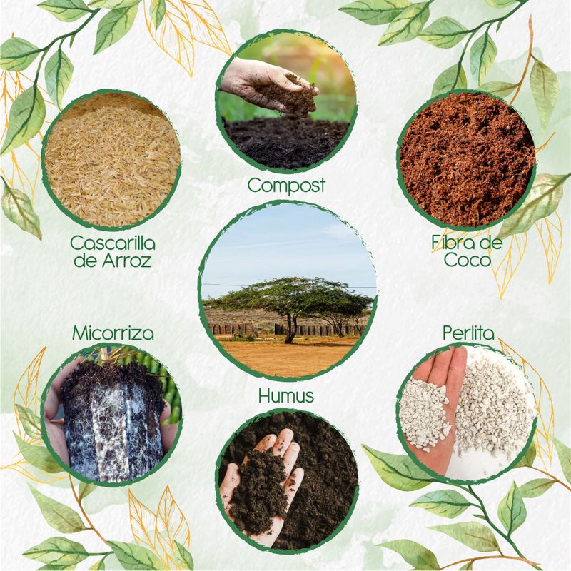 GENERICO - Kit De Acondicionadores De Suelos Para Árbol Cuji Trupillo