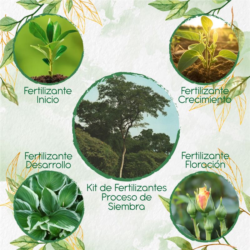 GENERICO - Kit De Fertilizantes Para La Siembra De Árbol Dinde Mora
