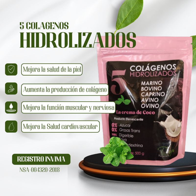 NATURAL ENERGY PRODUCTS - 5 COLAGENOS HIDROLIZADO 500GR