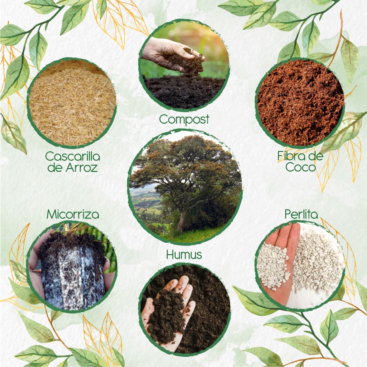 GENERICO - Kit De Acondicionadores De Suelos Para Árbol Encenillo