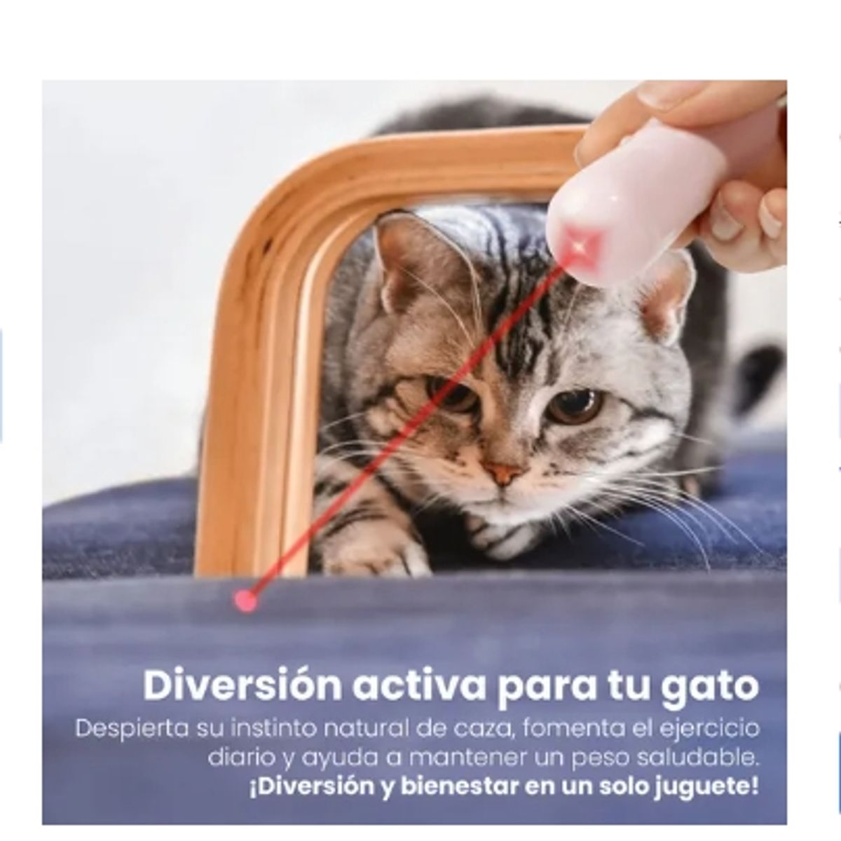 GENERICO - Puntero Láser Interactivo Para Mascotas Color Rosa Pálido