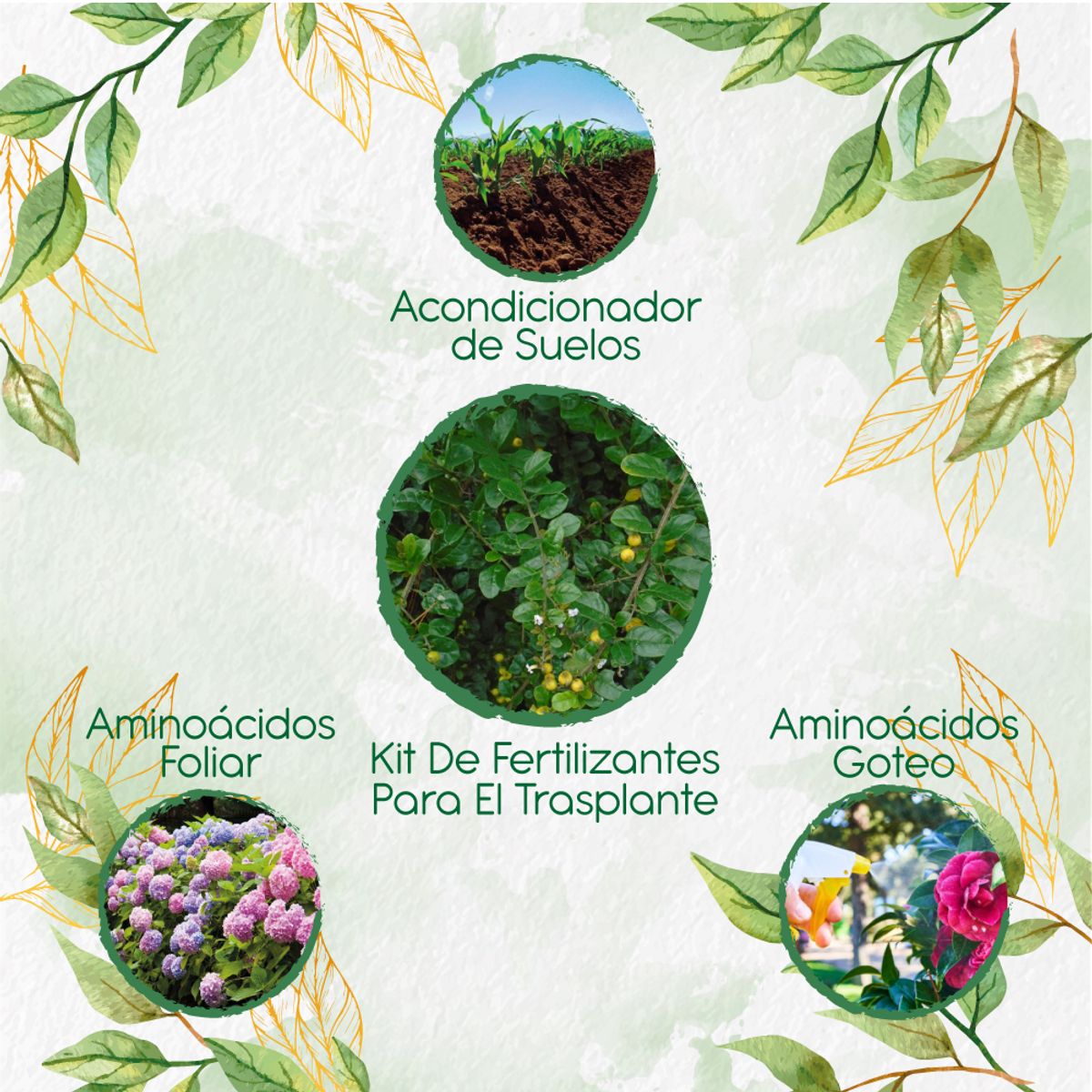 GENERICO - Kit De Fertilizantes Para El Trasplante De Espino