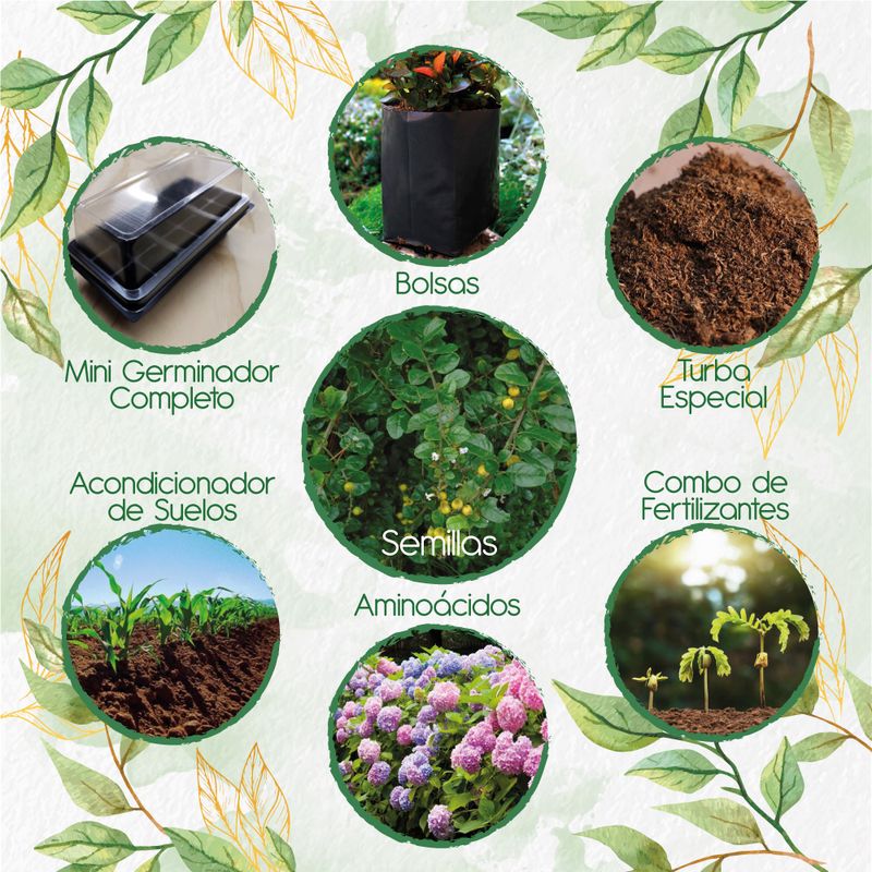 GENERICO - 70 Semillas De Espino + Kit De Germinación Especial