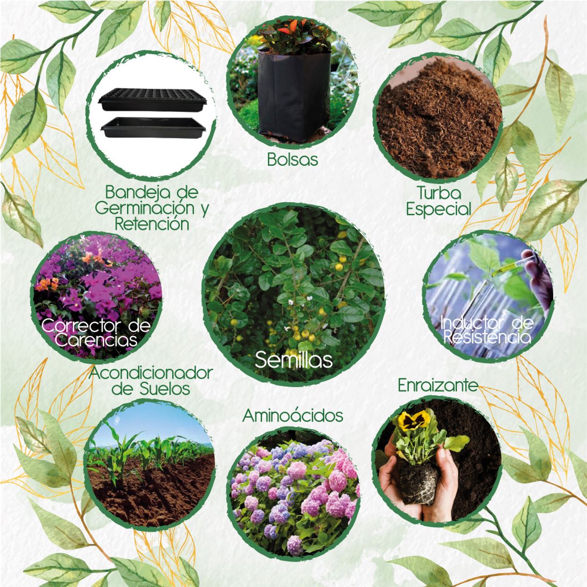 GENERICO - 140 Semillas De Espino + Kit De Producción