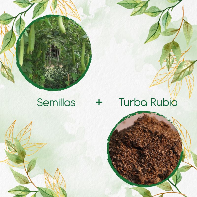 GENERICO - 30 Semillas De Estropajo Común + Turba De Germinación