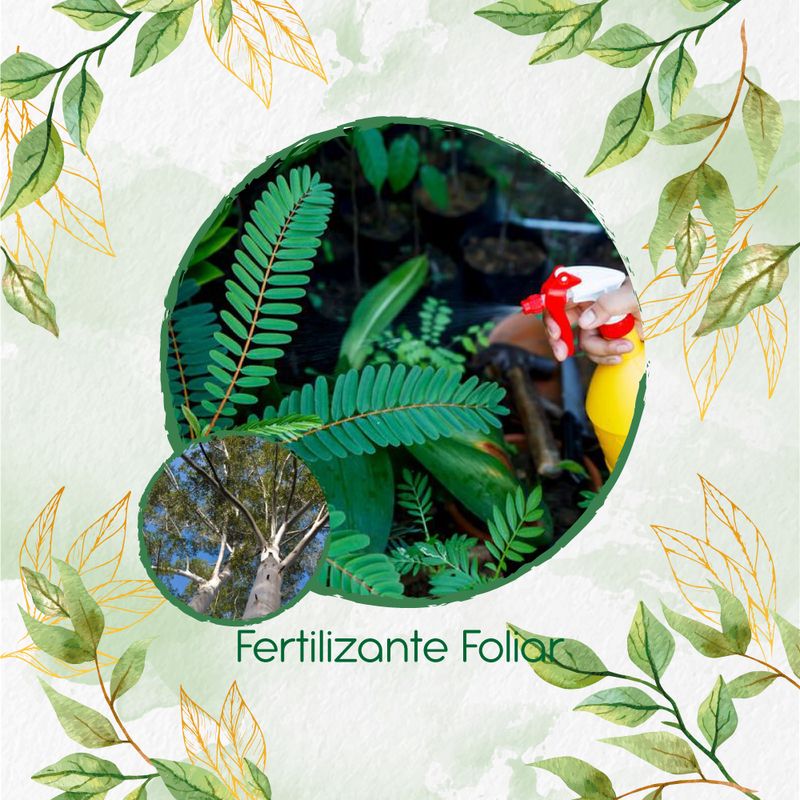 GENERICO - Fertilizante Generación De Brotes Para Árbol Eucalipto
