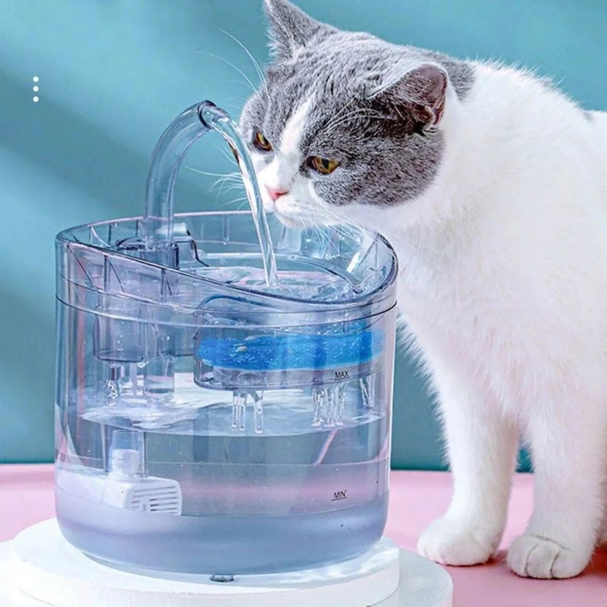 GENERICO - Bebedor Para Mascota Con Sensor