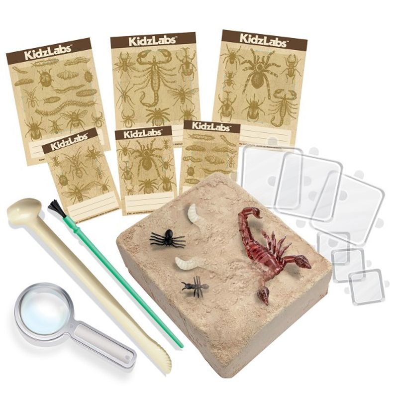 4M - KIT EXCAVACIÓN INSECTOS