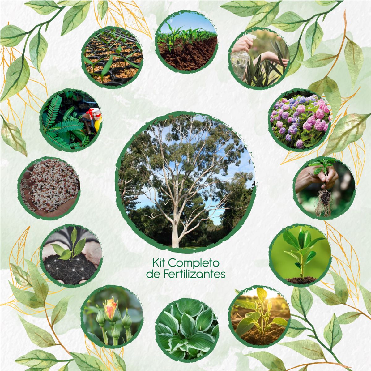 GENERICO - Kit Completo De Fertilizantes Para Árbol Eucalipto Citriodora