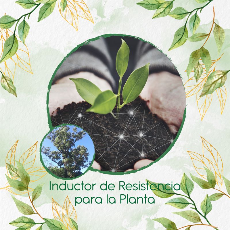 GENERICO - Fertilizante Inductor De Resistencia Para Árbol Eucalipto Robusta