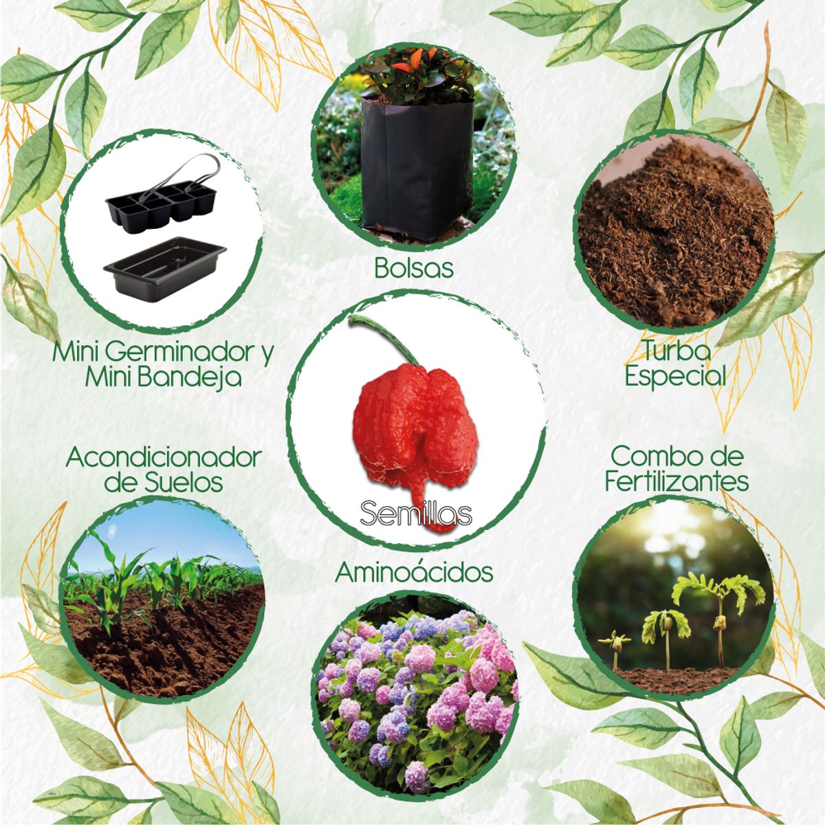 GENERICO - 10 Semillas Orgánicas De Ají Carolina Reaper + Kit De Germinación