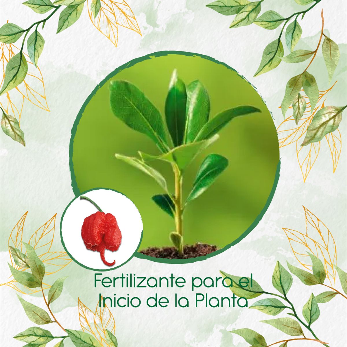 GENERICO - Fertilizante Para El Inicio De Aji Carolina Reaper