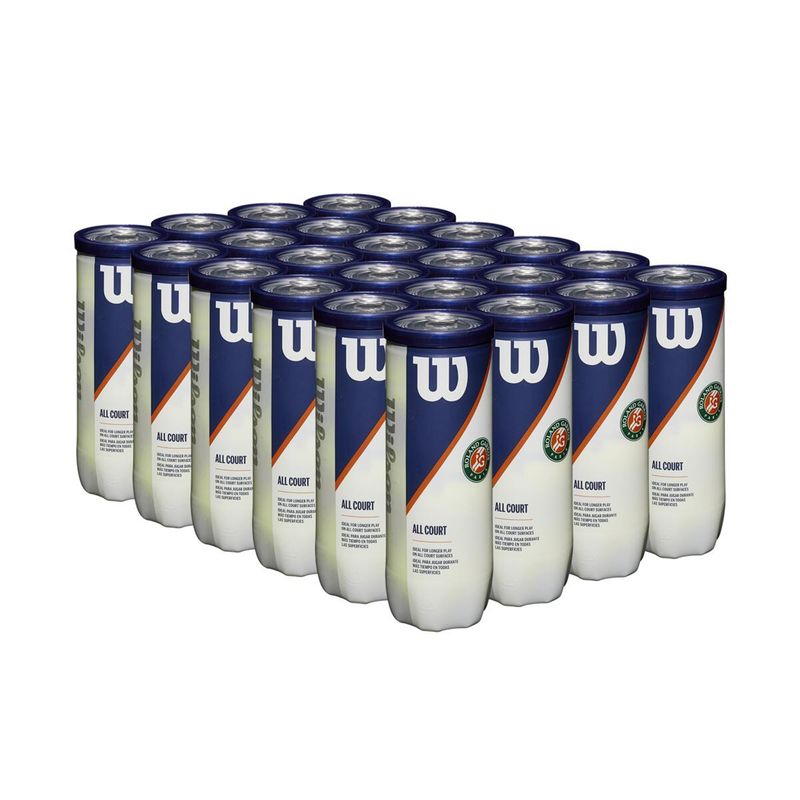 WILSON - Caja de Pelotas de Tenis Wilson Roland Garros X24 Tarros