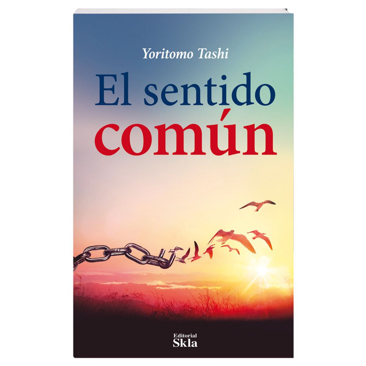 SKALA - El Sentido Común Nuevo y original