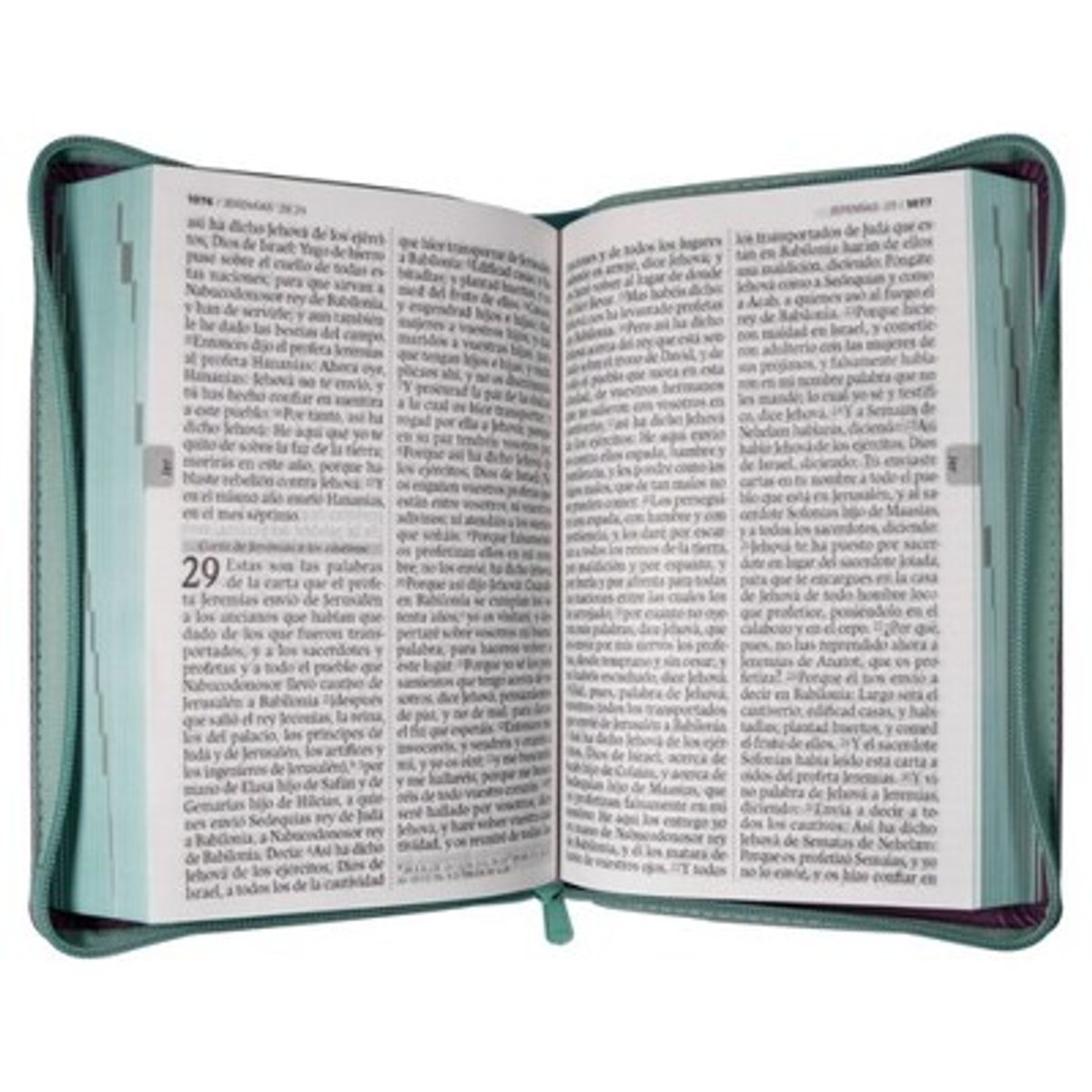 SBC - Biblia RVR Letra grande Color Morado Verde Con Ayudas Digitales