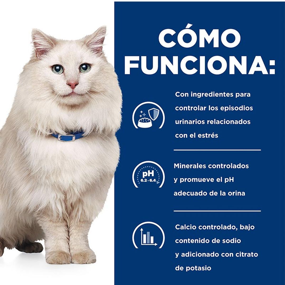 HILLS - Hills Alimento Seco CD Multicare Stress Gato