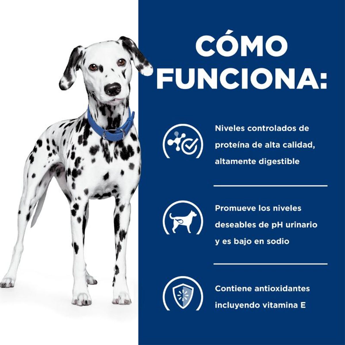HILLS - Hills Alimento Seco UD Cuidado Urinario Perro