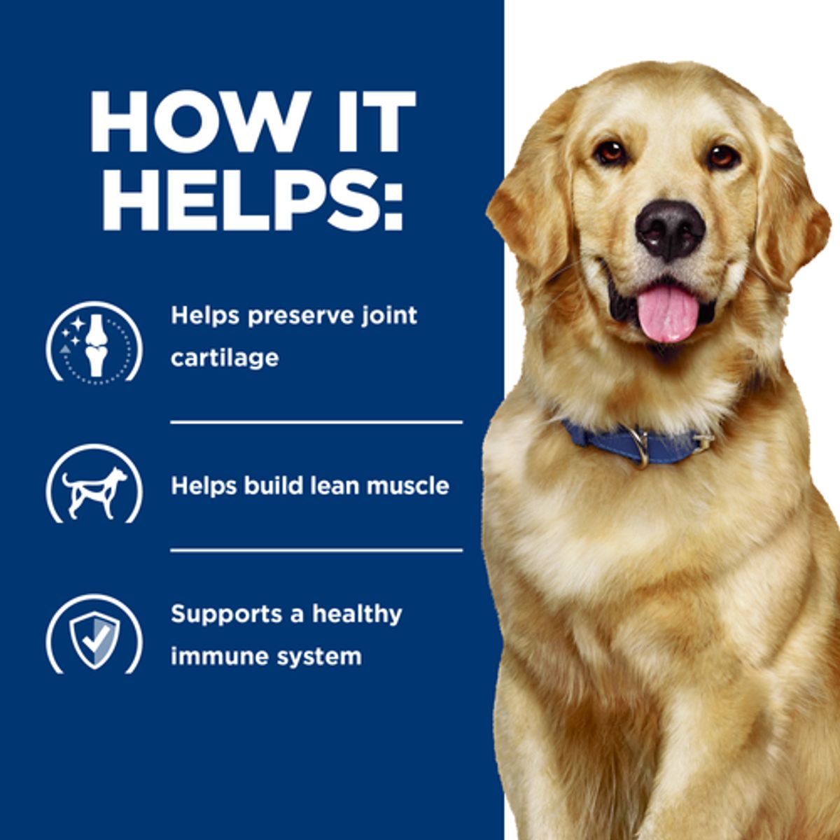 HILLS - Hills Alimento para Perro Adulto JD