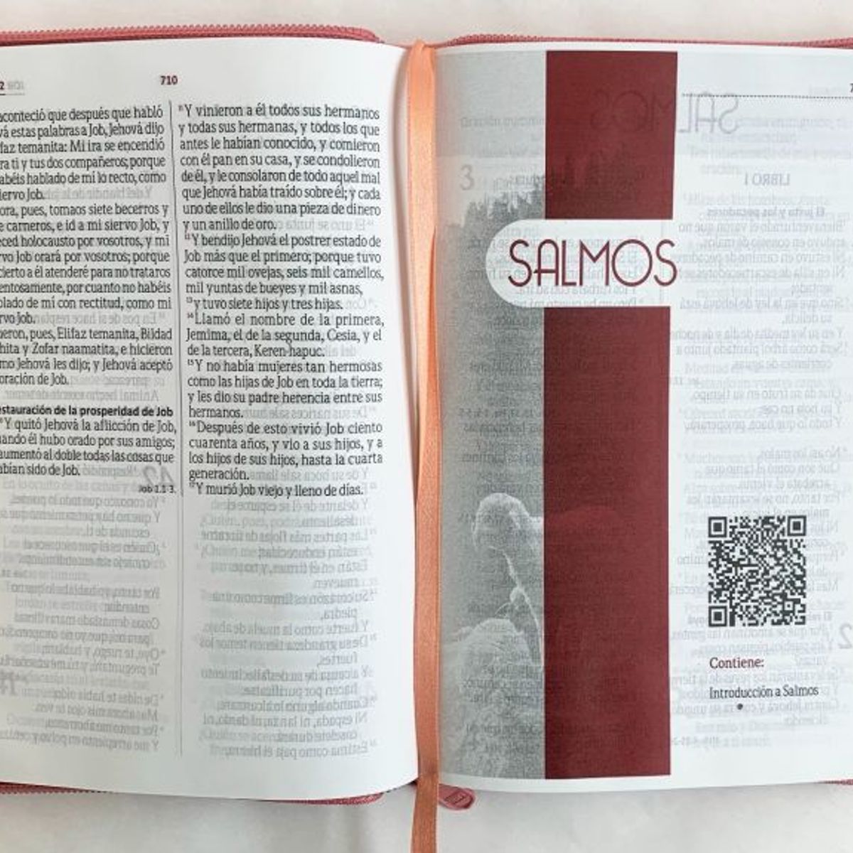 SBC - Biblia RVR Letra mediana Color Rosado Con Ayudas Digitales Con Índice Perforado