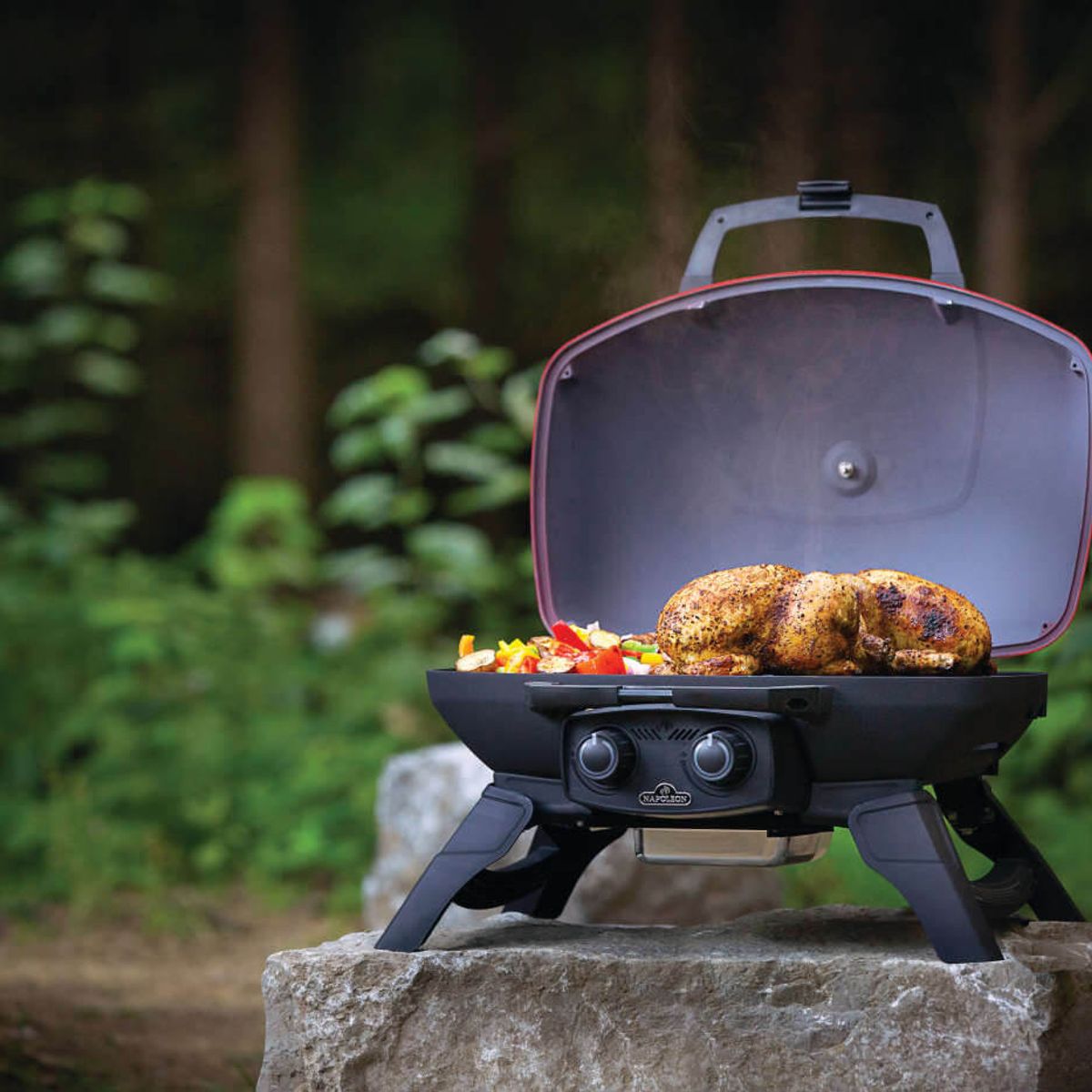 NAPOLEON - ASADOR NAPOLEON PORTATIL TRAVELQ 285RD