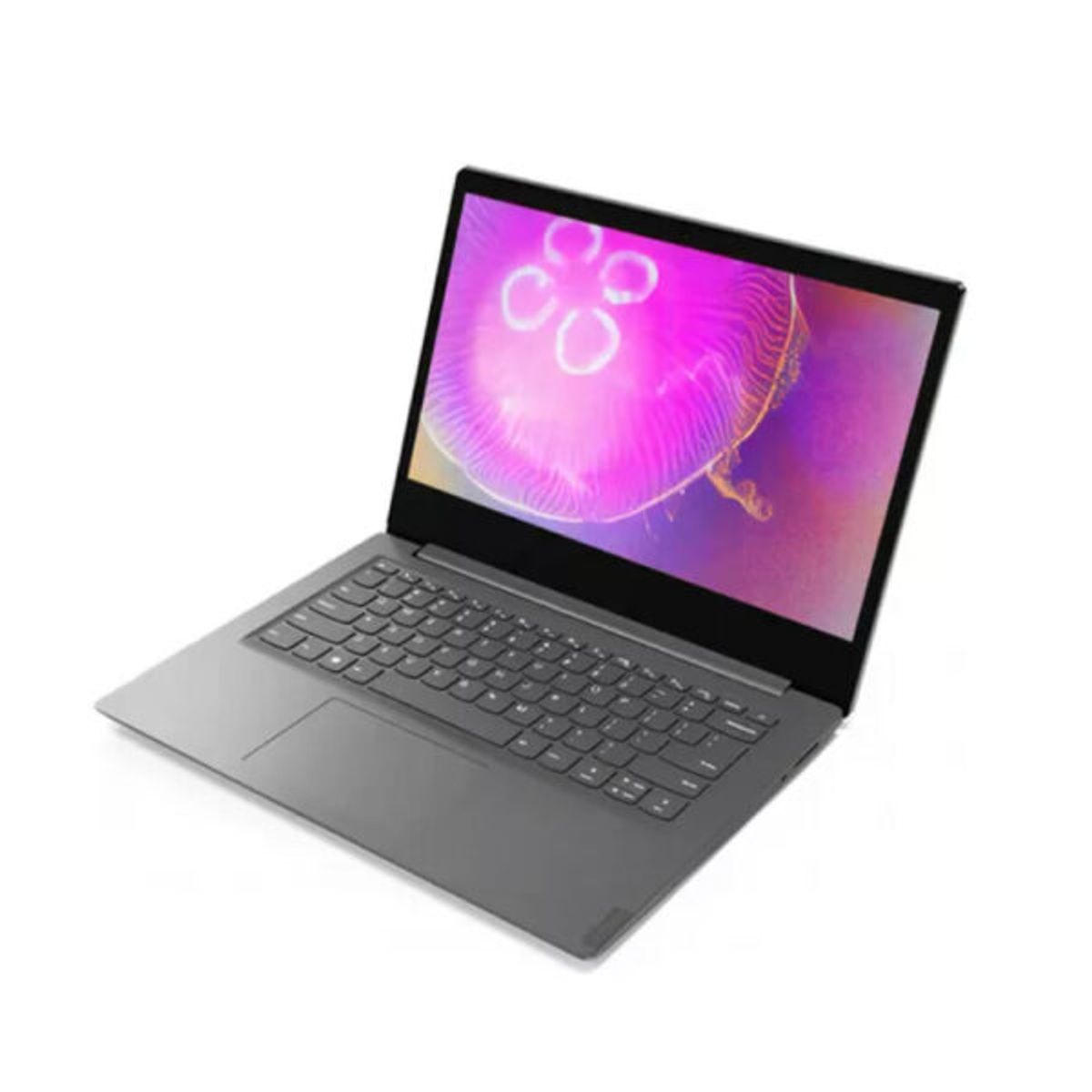 Lenovo - Portatil Lenovo V14 Ryzen 7 4700U 12Gb Ssd 256Gb Hdd 1Tb Win11 Home 14