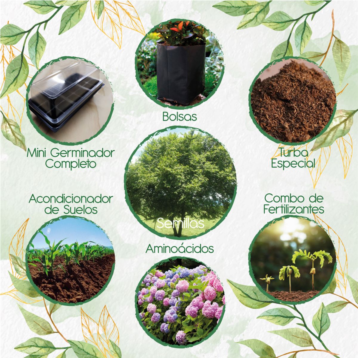GENERICO - 200 Semillas De Árbol Guácimo + Kit De Germinación Especial