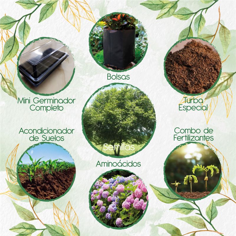 GENERICO - 200 Semillas De Árbol Guácimo + Kit De Germinación Especial