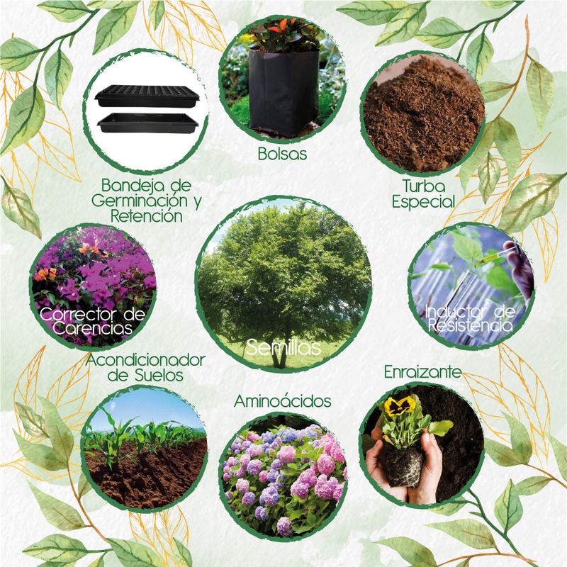 GENERICO - 400 Semillas De Árbol Guácimo + Kit De Producción