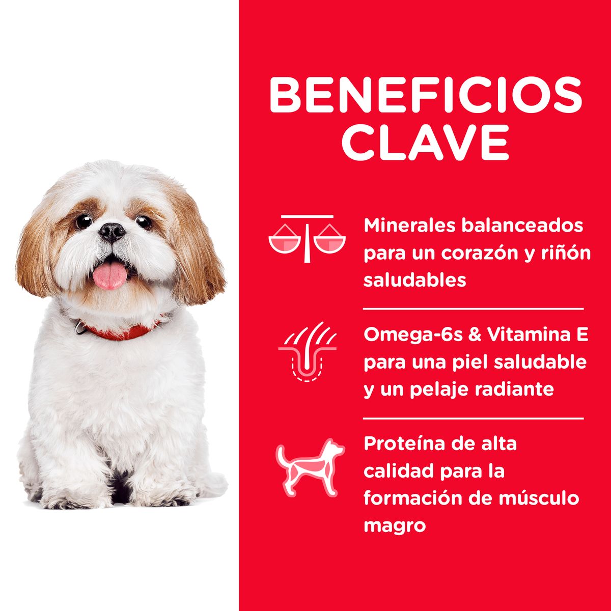 HILLS - Hill's Science Diet Adult 7+ Small Bites Pollo 15 lb